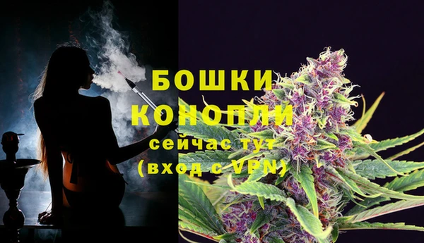 стафф Верея