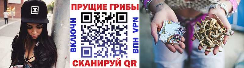 Купить закладки  Велиж  Галлюциногенные грибы MAGIC MUSHROOMS 